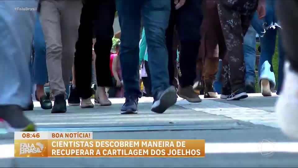 Boa Notícia: Estudo aponta avanço na regeneração da cartilagem