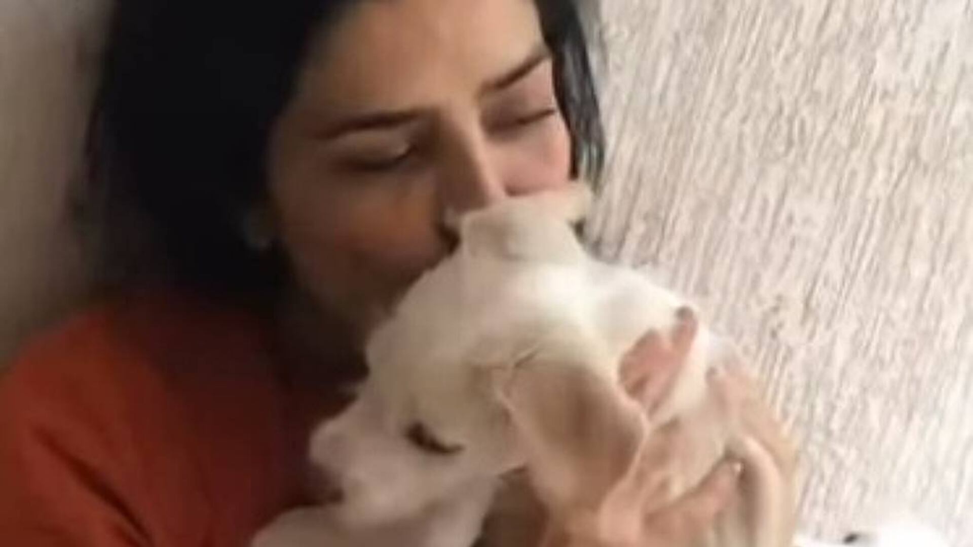 Letícia Sabatella vai à Justiça para recuperar cães colocados para adoção sem autorização