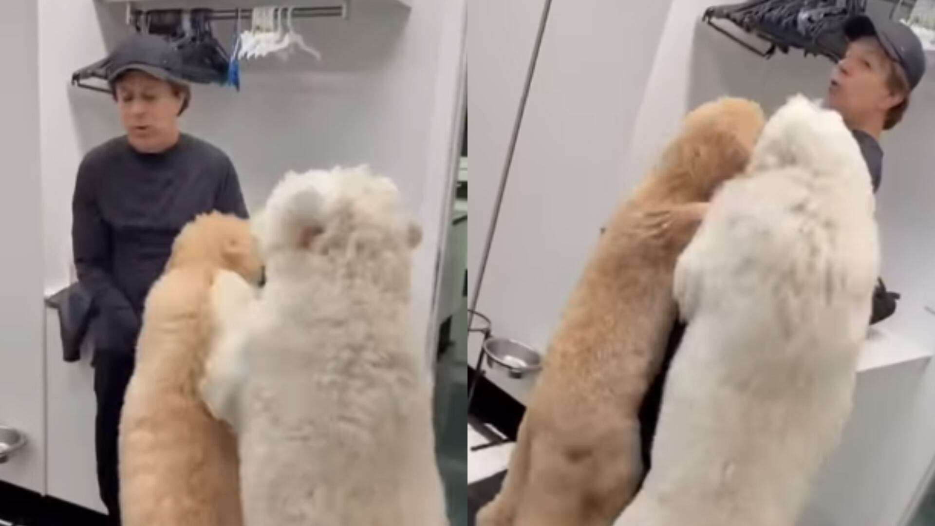 Tom Cavalcante recebe surpresa após passar um mês fora de casa