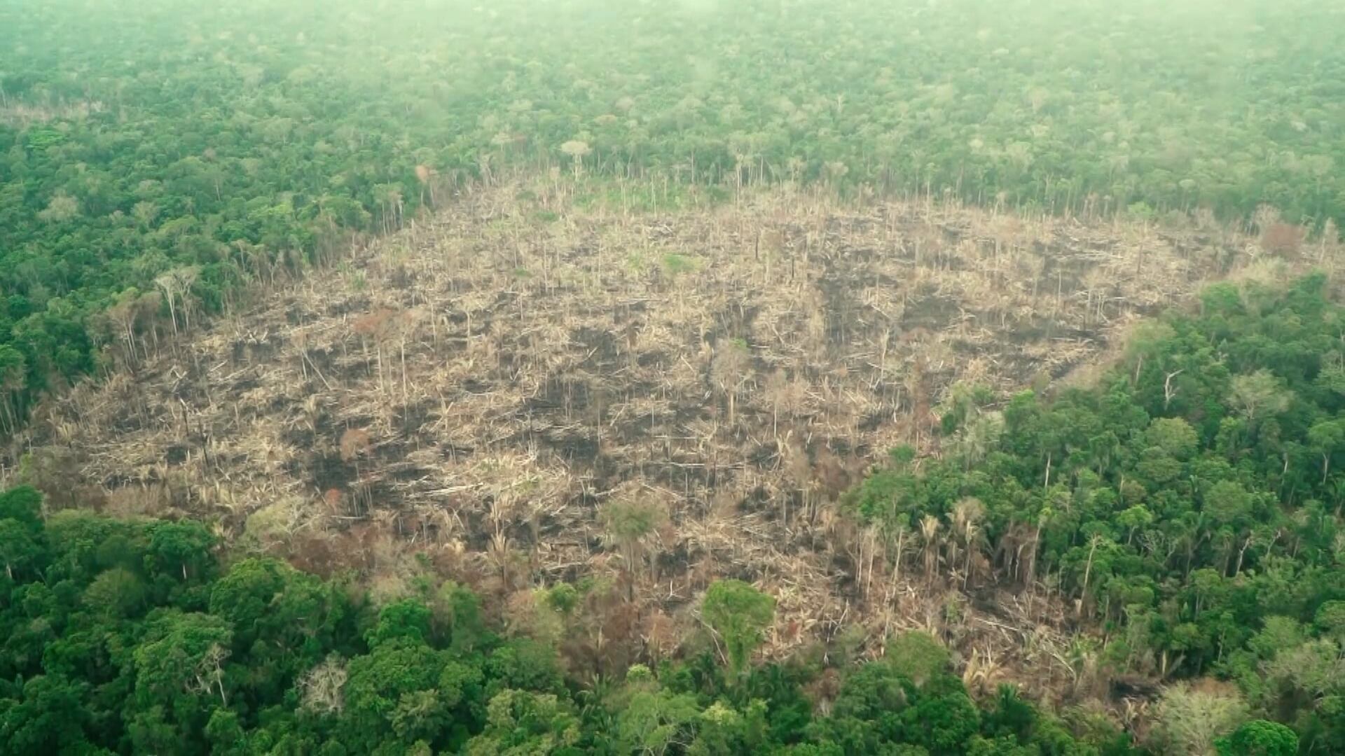 Resoluções do Plano Clima ainda não foram publicadas