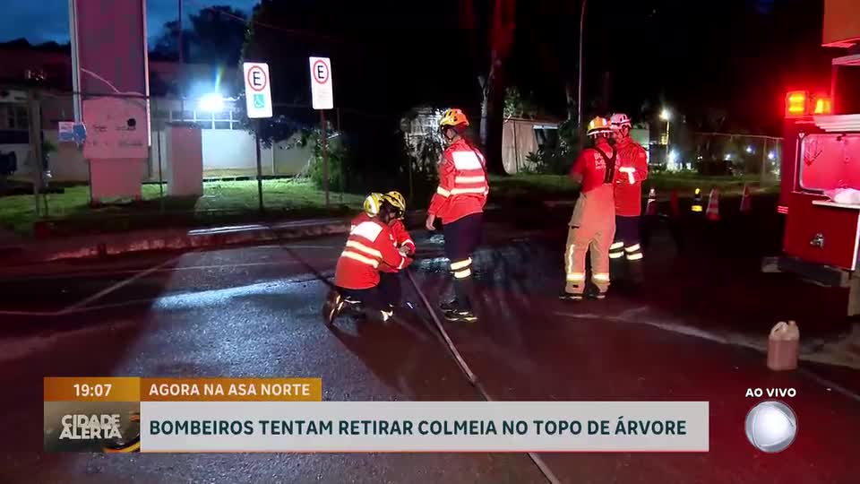 Corpo de Bombeiros realiza remoção de colmeia em posto de saúde na Asa Norte (DF)