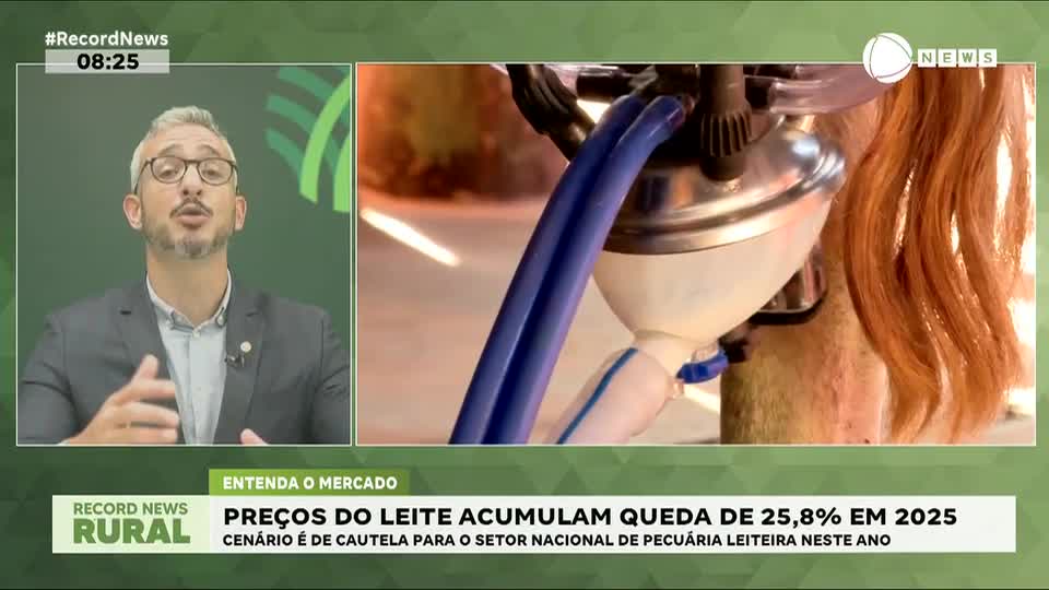 Preços do leite acumulam queda de 25,8% em 2025
