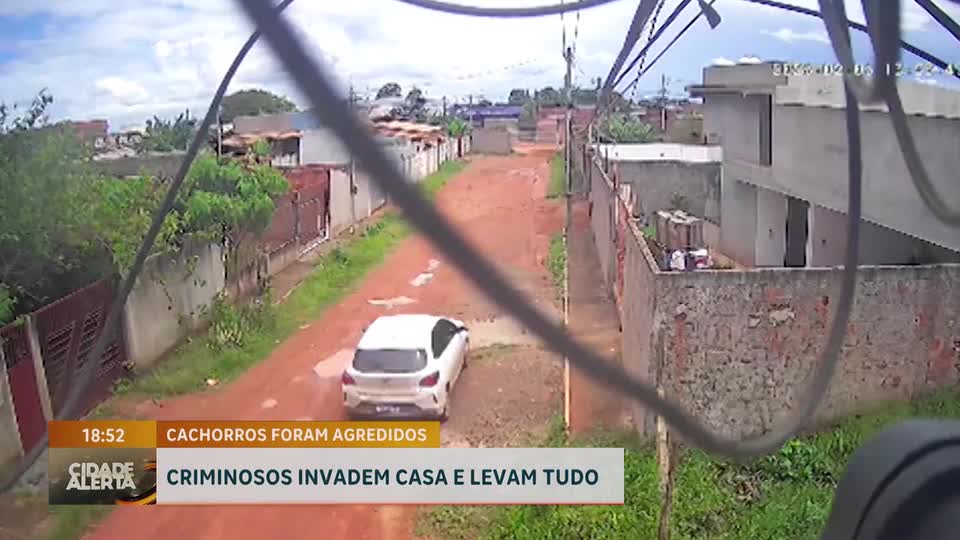 Casa é invadida e furtada em Vicente Pires (DF); a ação foi flagrada por câmeras
