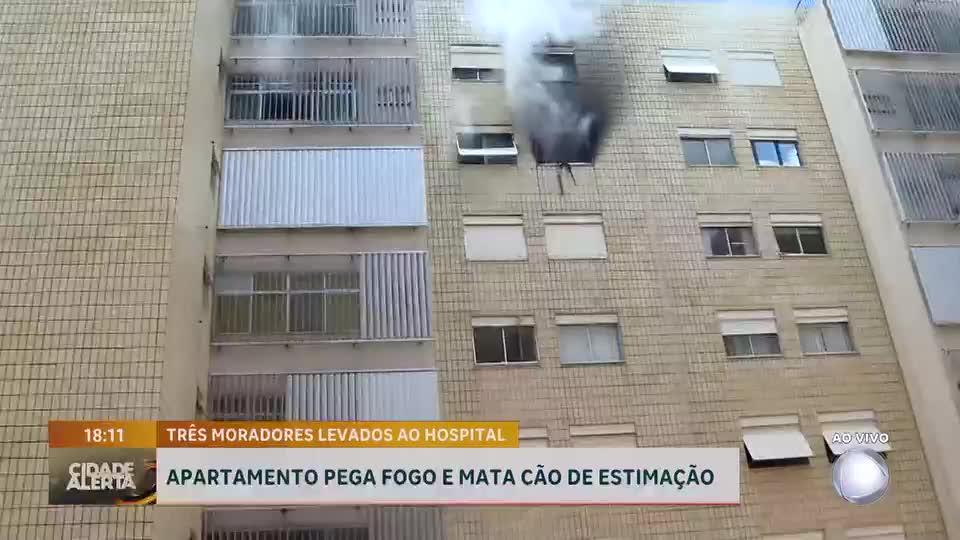 Apartamento pega fogo, deixa três pessoas feridas e um cachorro de estimação morto