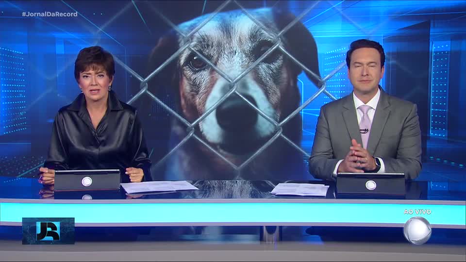 Maus-tratos a animais crescem 120% em dois anos, aponta levantamento da Polícia Civil de SP