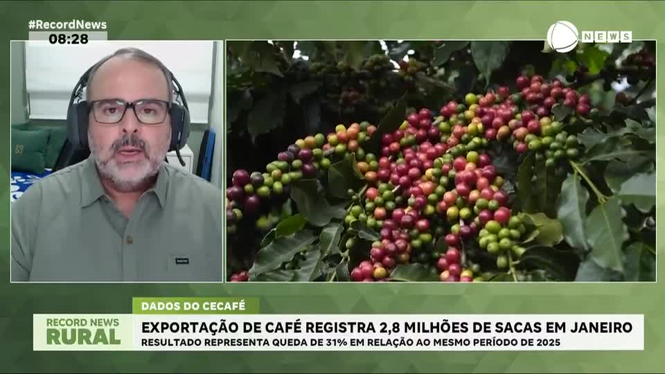 Brasil exportou 2,8 milhões de sacas de café em janeiro