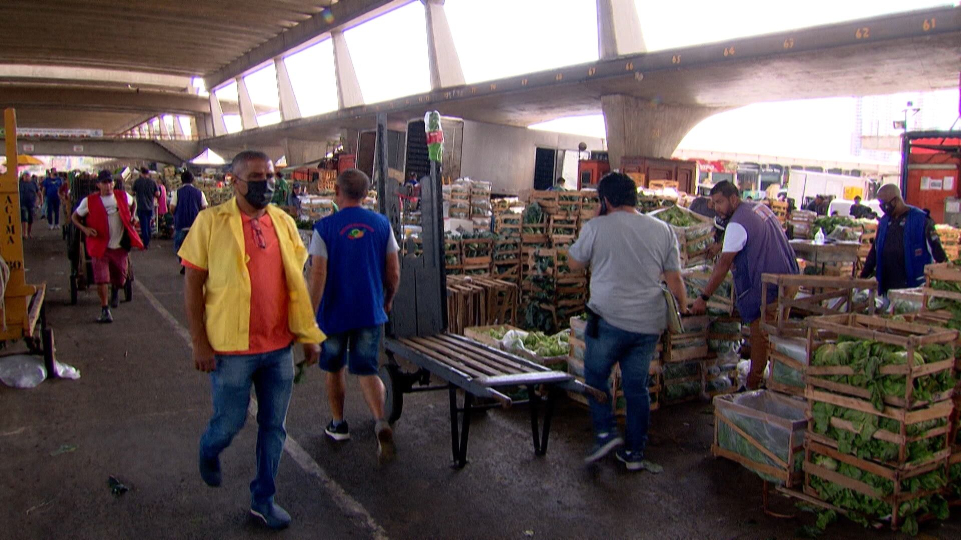 Trabalhadores do agronegócio representam 26% do total de ocupações  no país