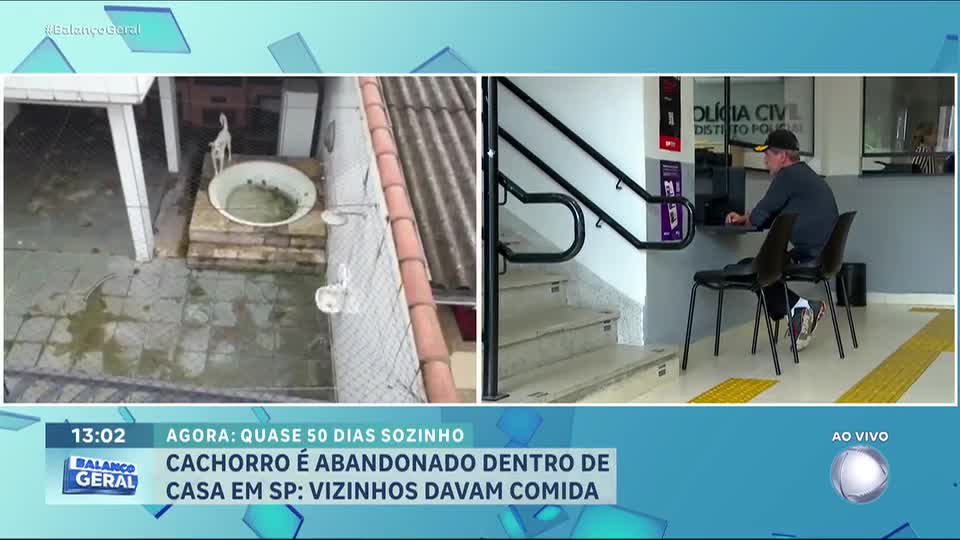 Cão é resgatado após 50 dias de abandono dentro de casa vazia em São Paulo