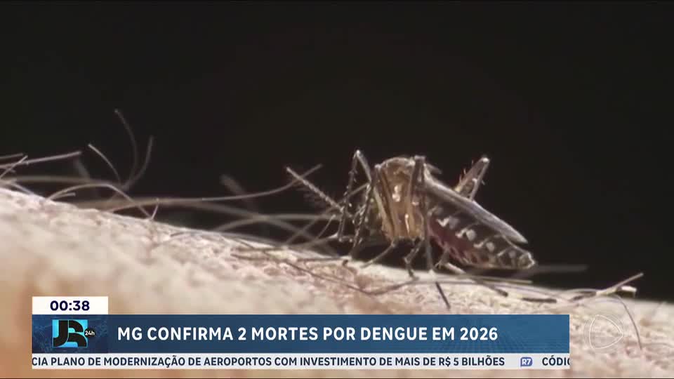 Minas Gerais registra duas mortes por dengue e reforça combate ao Aedes aegypti