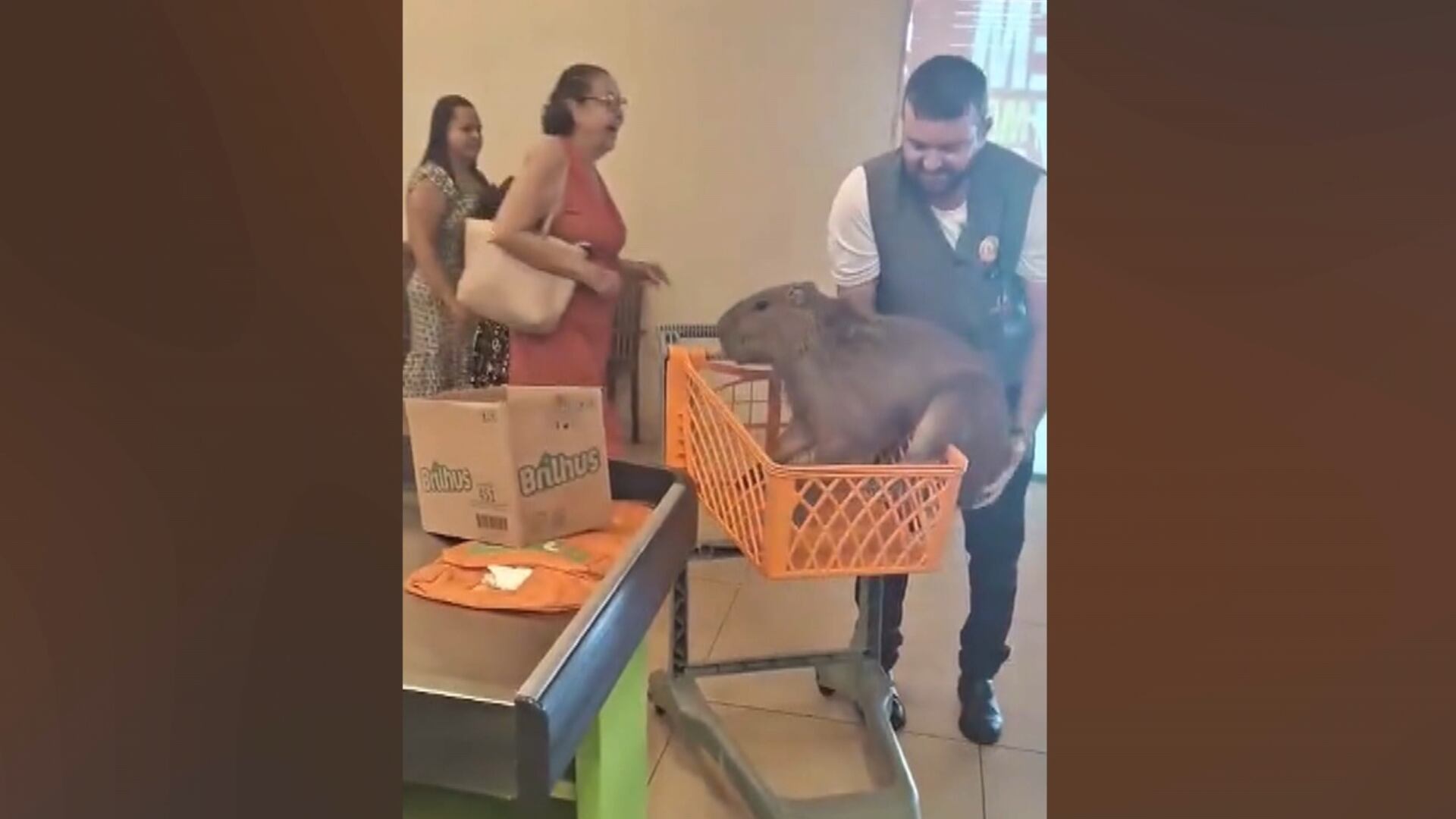 Vídeo: capivara invade supermercado e é retirada dentro de carrinho