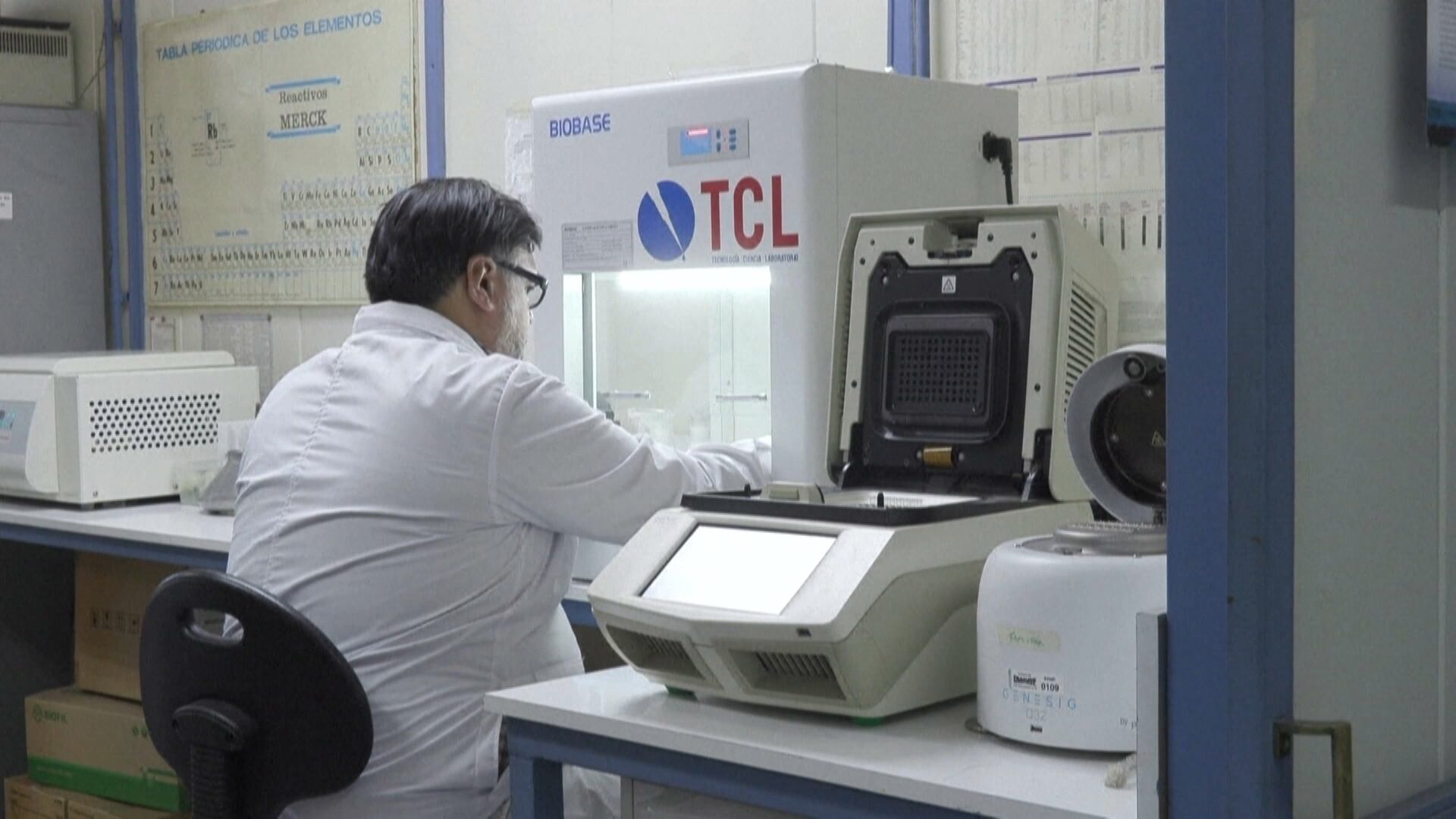 Gripe aviária avança e ameaça fauna na Antártida