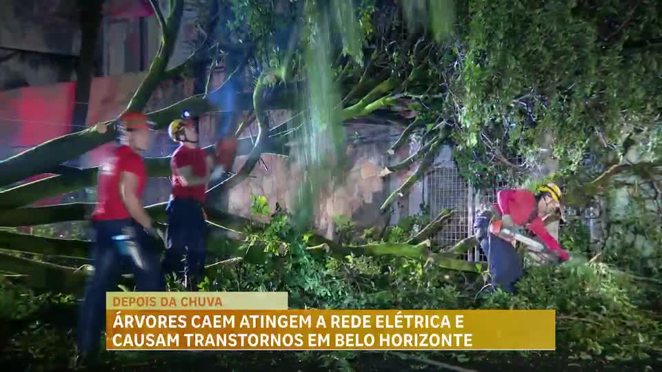 Árvores caem, atingem rede elétrica e causam transtornos em BH