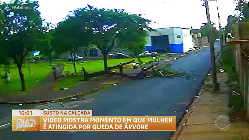 Mulher de 54 anos é atingida por árvore que caiu em calçada de Ribeirão Preto (SP)