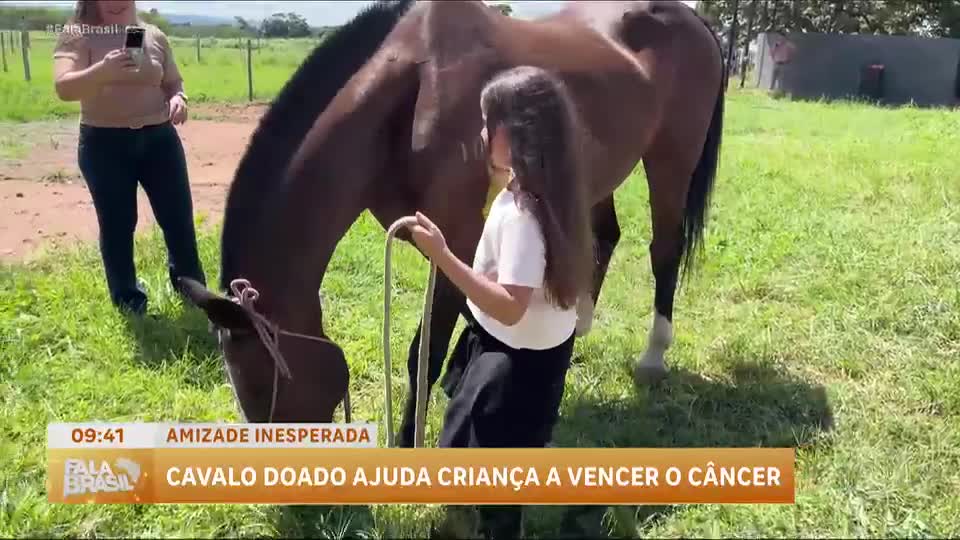 Menina em tratamento contra câncer encontra força em cavalo da PM