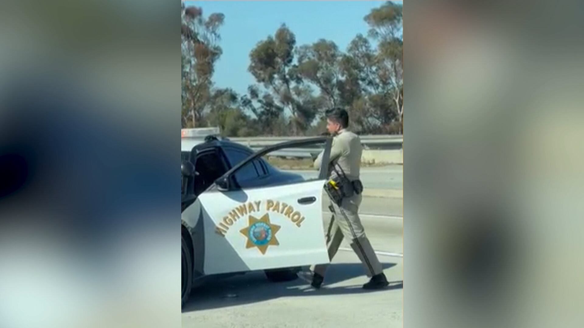 Policial interrompe o trânsito para salvar gatinho em rodovia movimentada