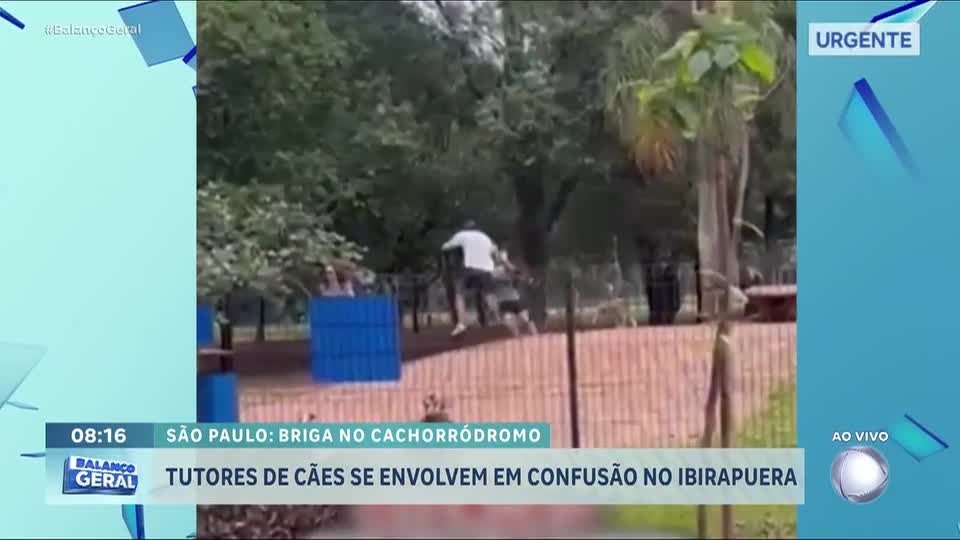 Tutores se envolvem em confusão em área para cachorros no Parque do Ibirapuera, em São Paulo