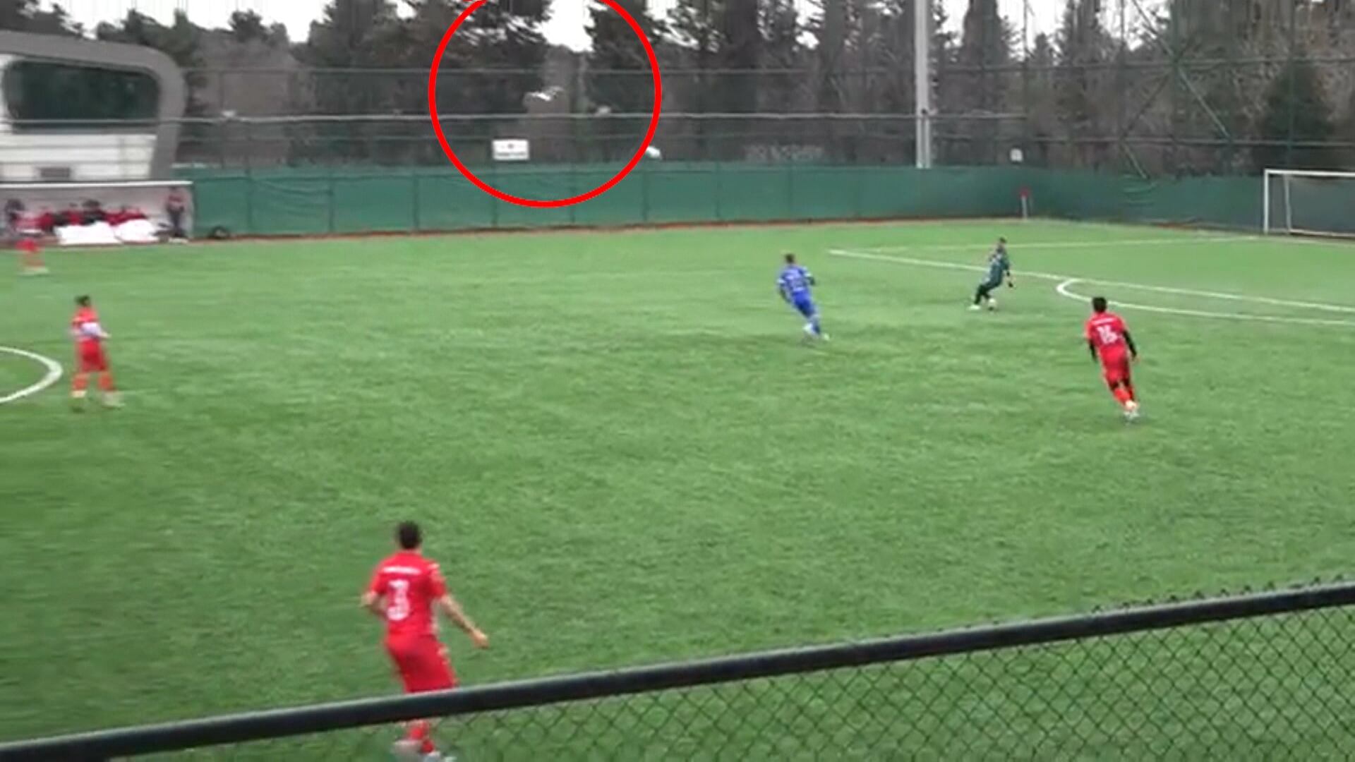 Jogador faz massagem cardíaca em ave após incidente em jogo de futebol