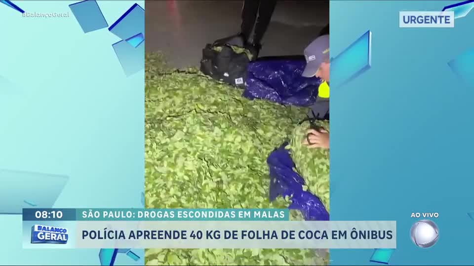 Polícia apreende 40 kg de folhas de coca em operação em São Paulo