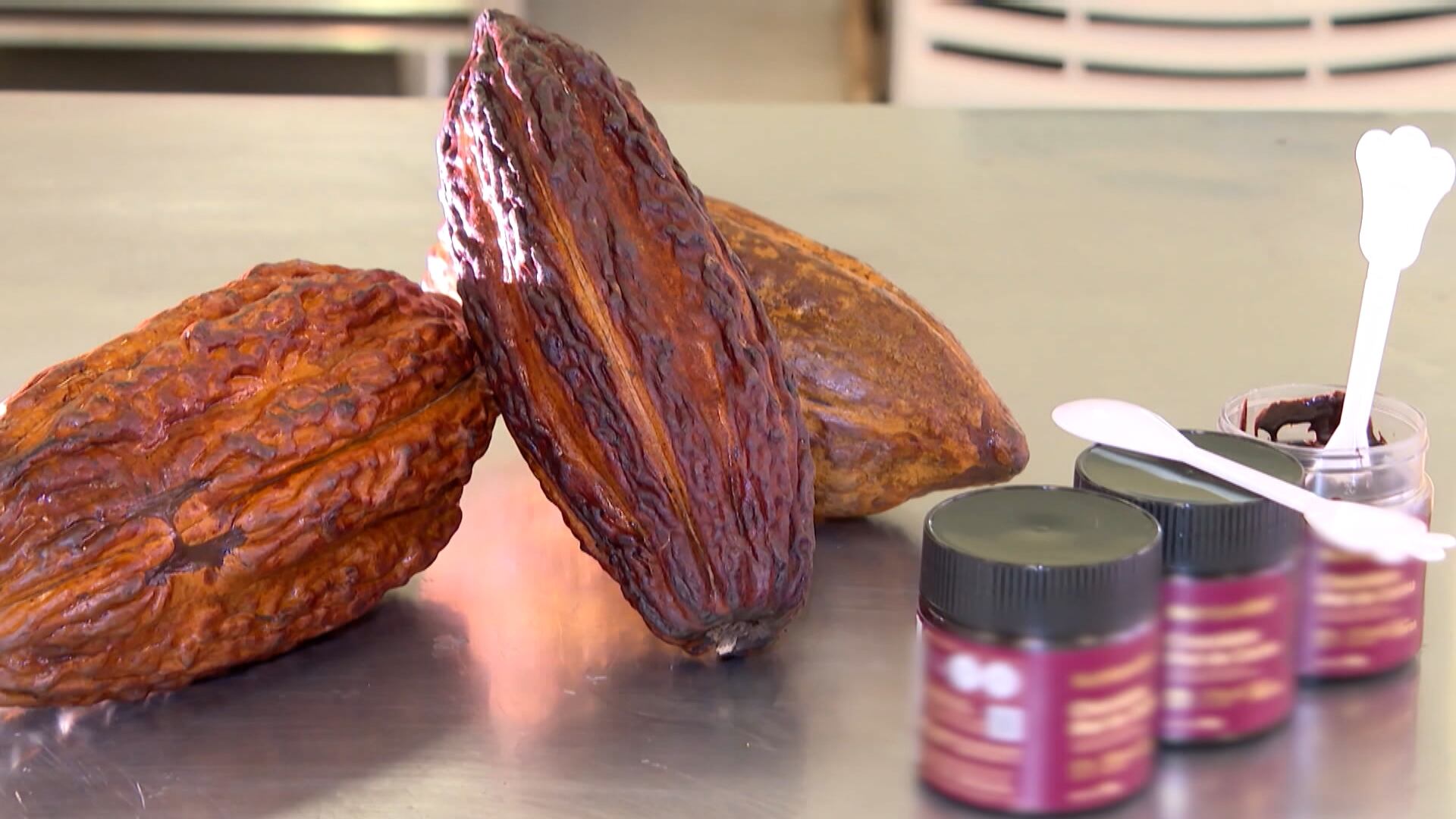 Pesquisador brasileiro desenvolve chocolate sem gordura