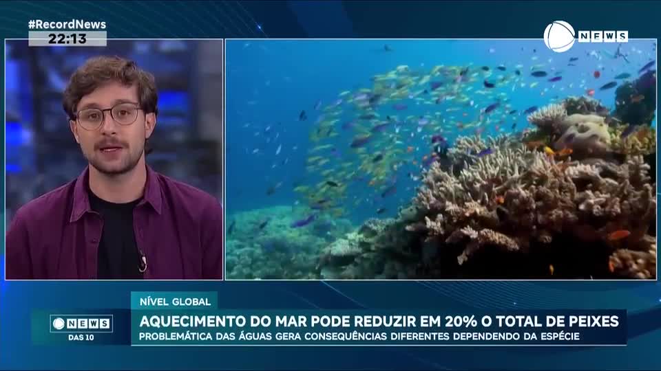 Aumento da temperatura do mar pode reduzir em 20% o total de peixes