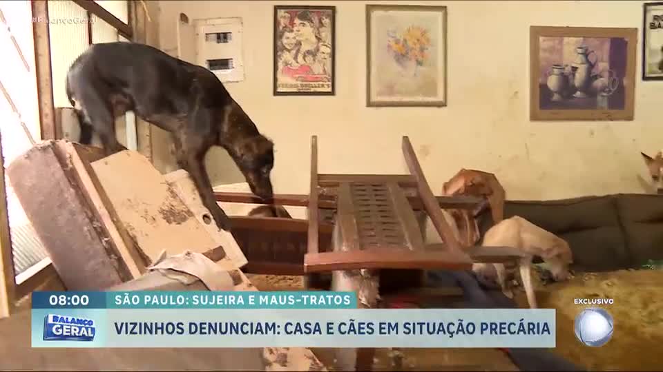 Idosa é retirada de casa após vizinhos denunciarem que ela vivia em situação precária em São Paulo