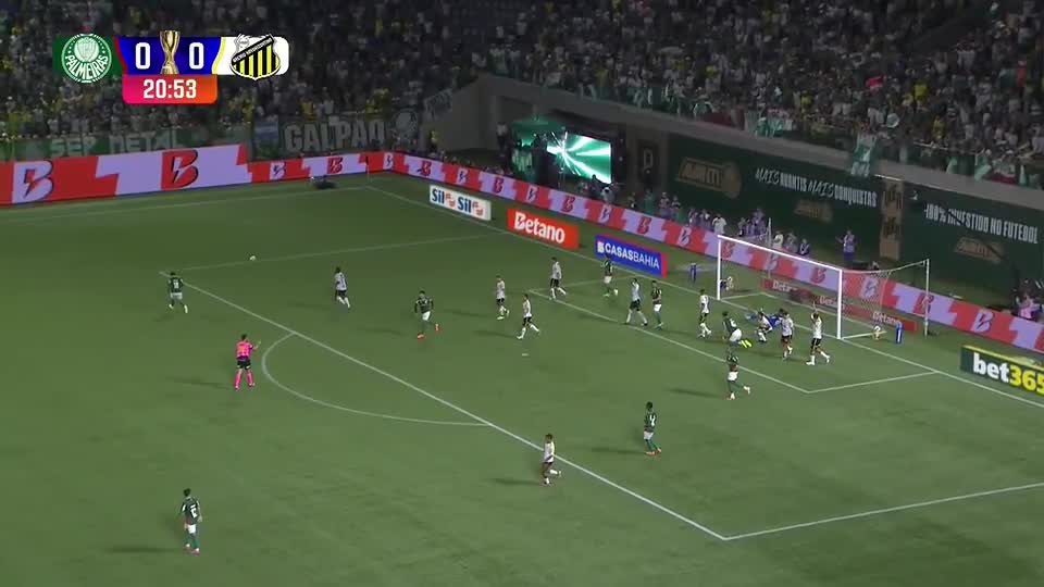 Palmeiras 1 x 0 Novorizontino | Melhores momentos da final do Paulistão