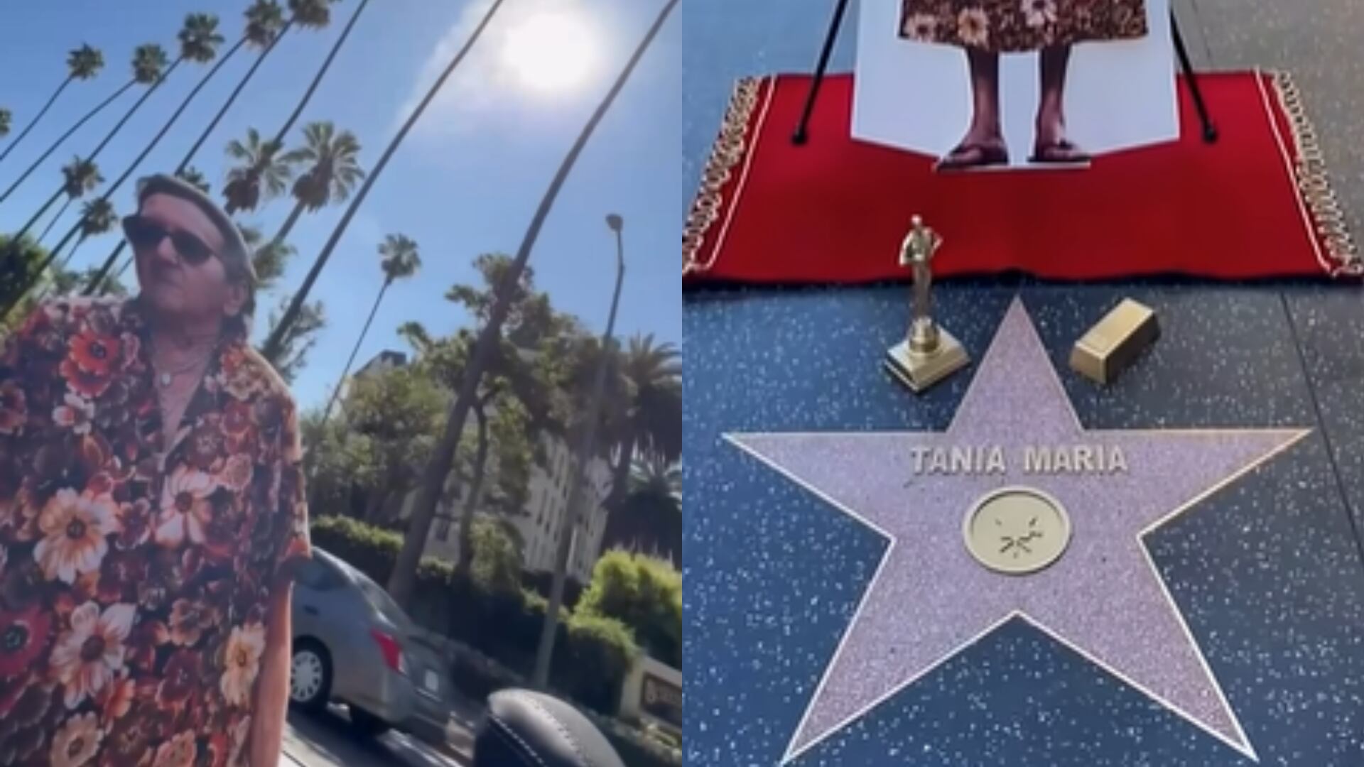 Atriz de 'O Agente Secreto' ganha homenagem inusitada de Kleber Mendonça