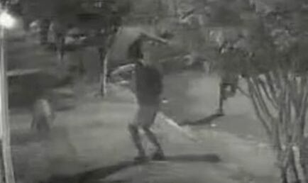 VÍDEO: Capivara é espancada por oito pessoas na Ilha do Governador, zona norte do Rio