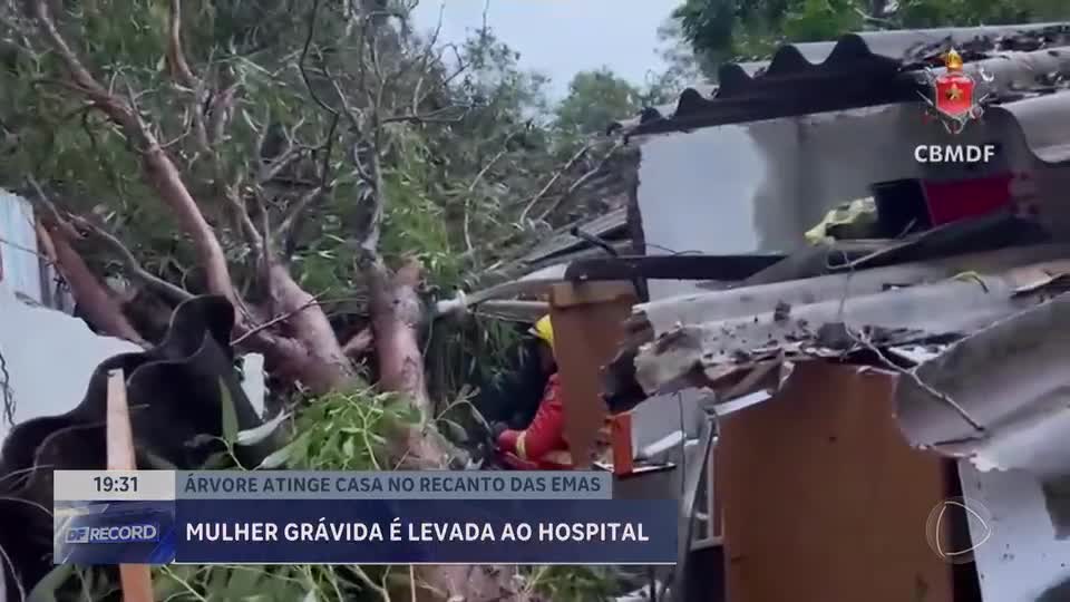 Árvore atinge casa no Recanto das Emas (DF) após forte chuva