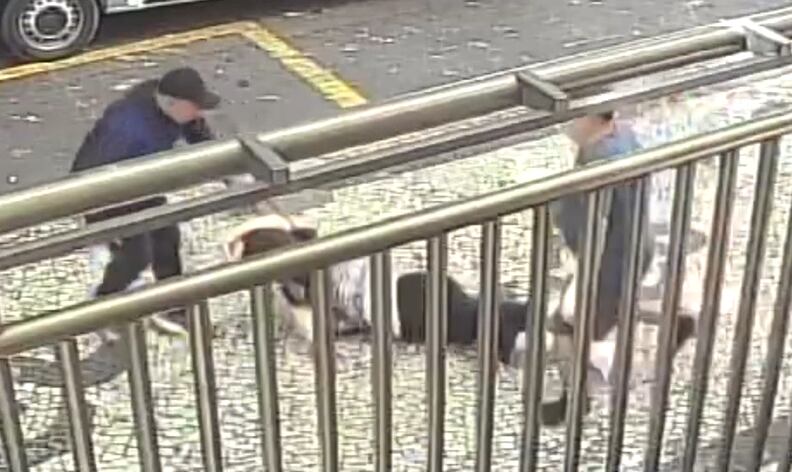 VÍDEO: Idosa é arrastada no chão durante assalto em Copacabana, zona sul do Rio