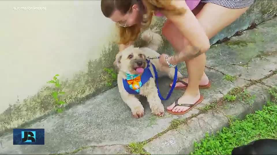 Projeto que regulamenta guarda de pets após separação vai à sanção de Lula