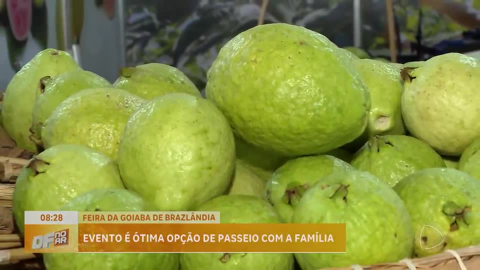 11ª Feira de Goiaba em Brazlândia (DF) oferece gastronomia e cultura até 12 de abril