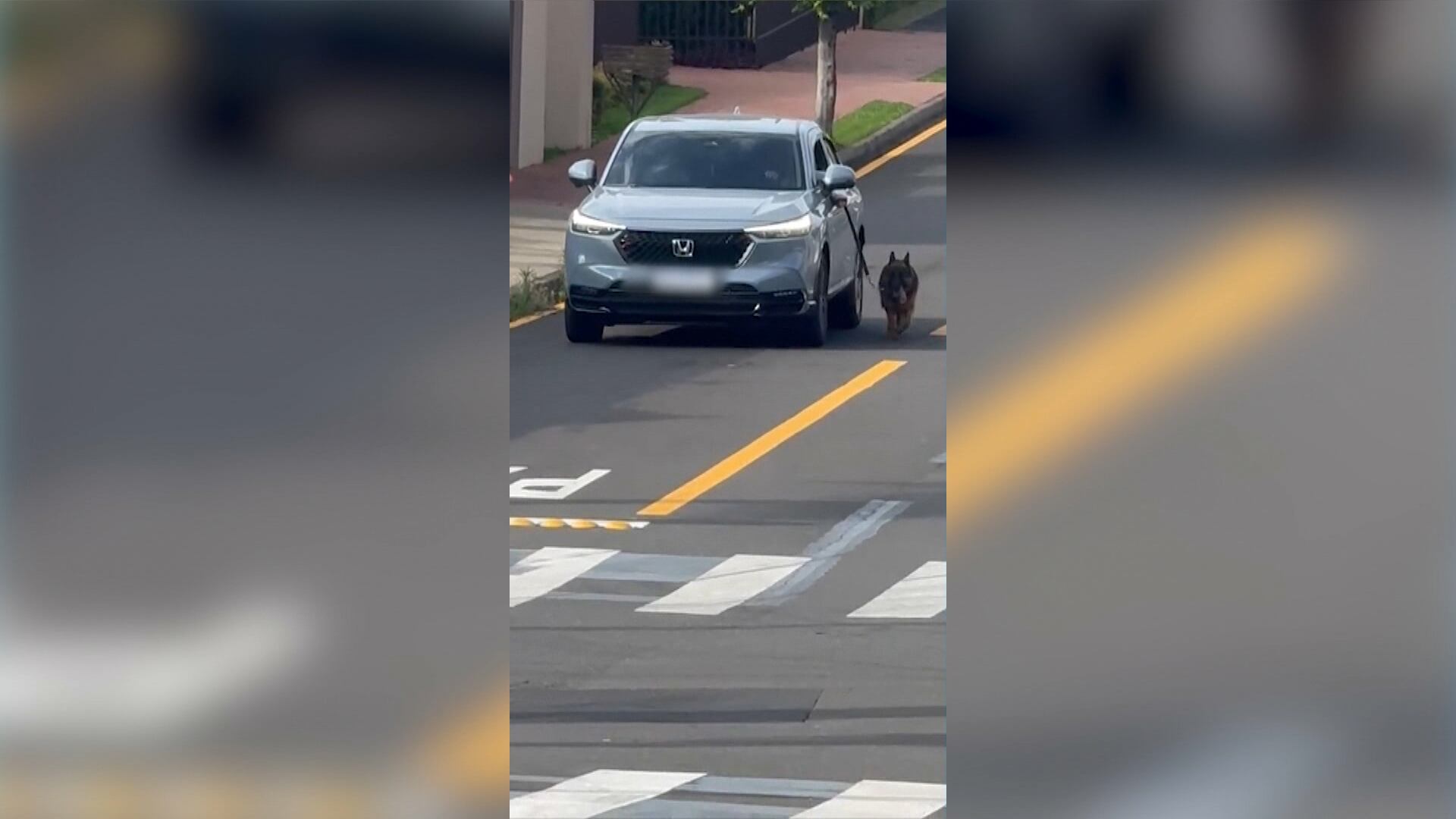 Homem é flagrado arrastando cachorro ao lado de carro em Ponta Grossa (PR); veja