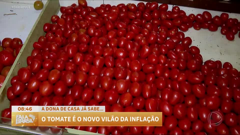 Aumento no preço do tomate impacta consumidores e comerciantes