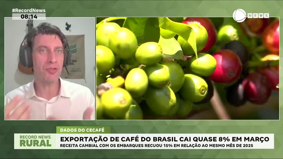 Exportação de café do Brasil cai quase 8% em março