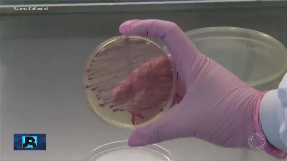 Superbactéria resistente a antibióticos é encontrada em quatro pontos do rio Guaíba, em Porto Alegre