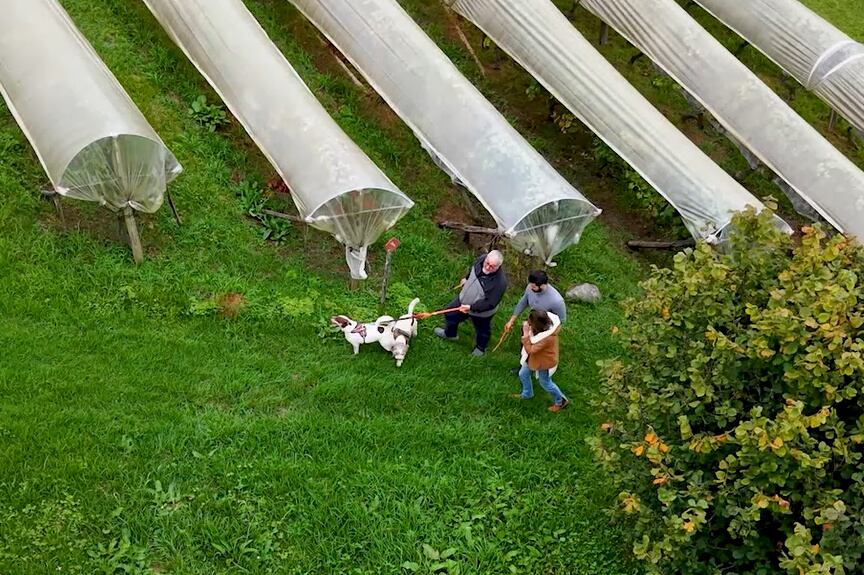 Paula Varejão participa de caça às trufas recém-descobertas em Campos do Jordão