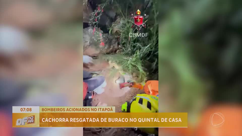 Bombeiros resgatam cadela presa em buraco no quintal de casa no Itapoã (DF)
