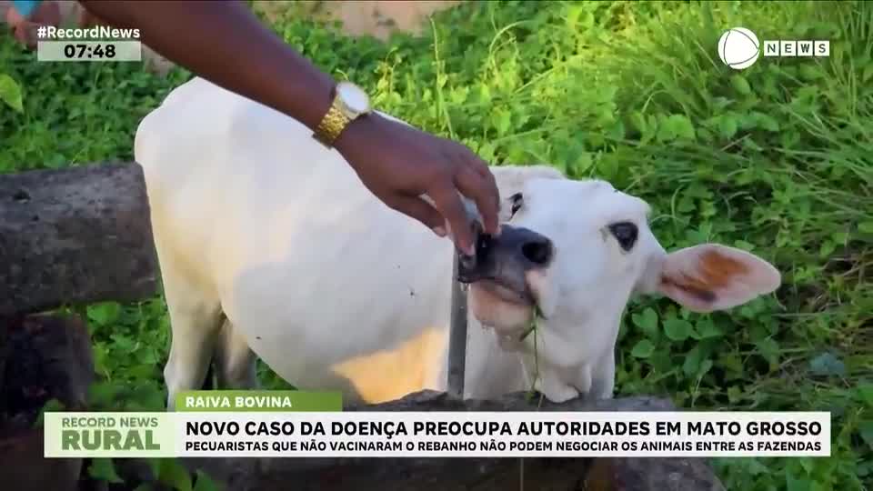 Novo caso de doença preocupa autoridades em Mato Grosso