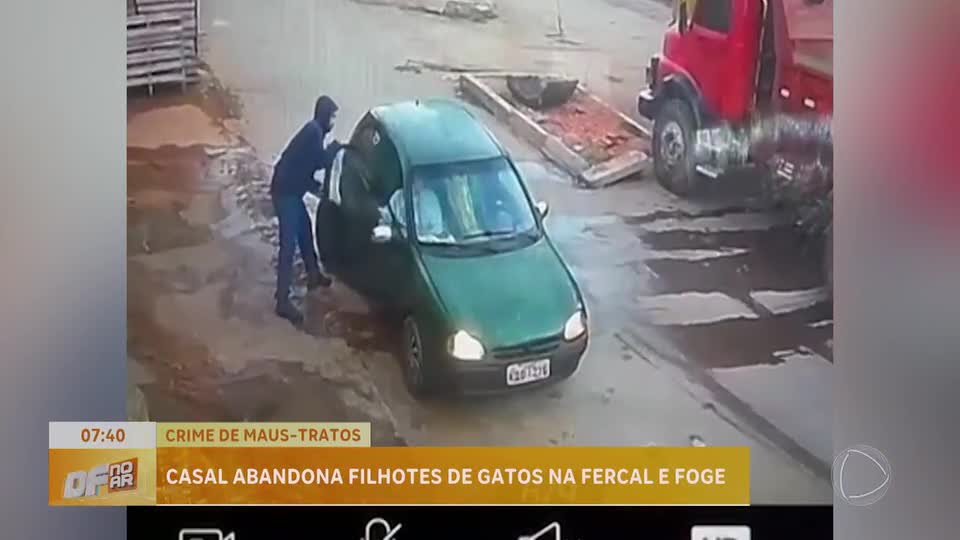 Casal é flagrado abandonando filhotes de gatos no DF