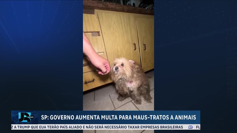 Governo de São Paulo aumenta multa para maus-tratos a animais e endurece punições