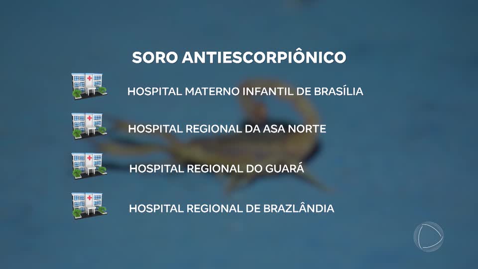 Saiba quais hospitais em Brasília possuem soro antiescorpiônico