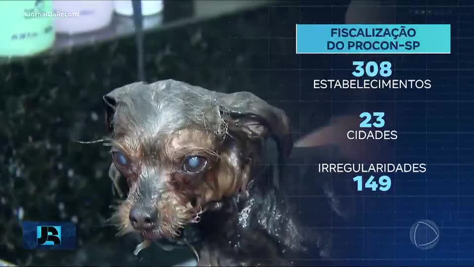 Operação em SP encontra irregularidades em quase metade dos pet shops vistoriados