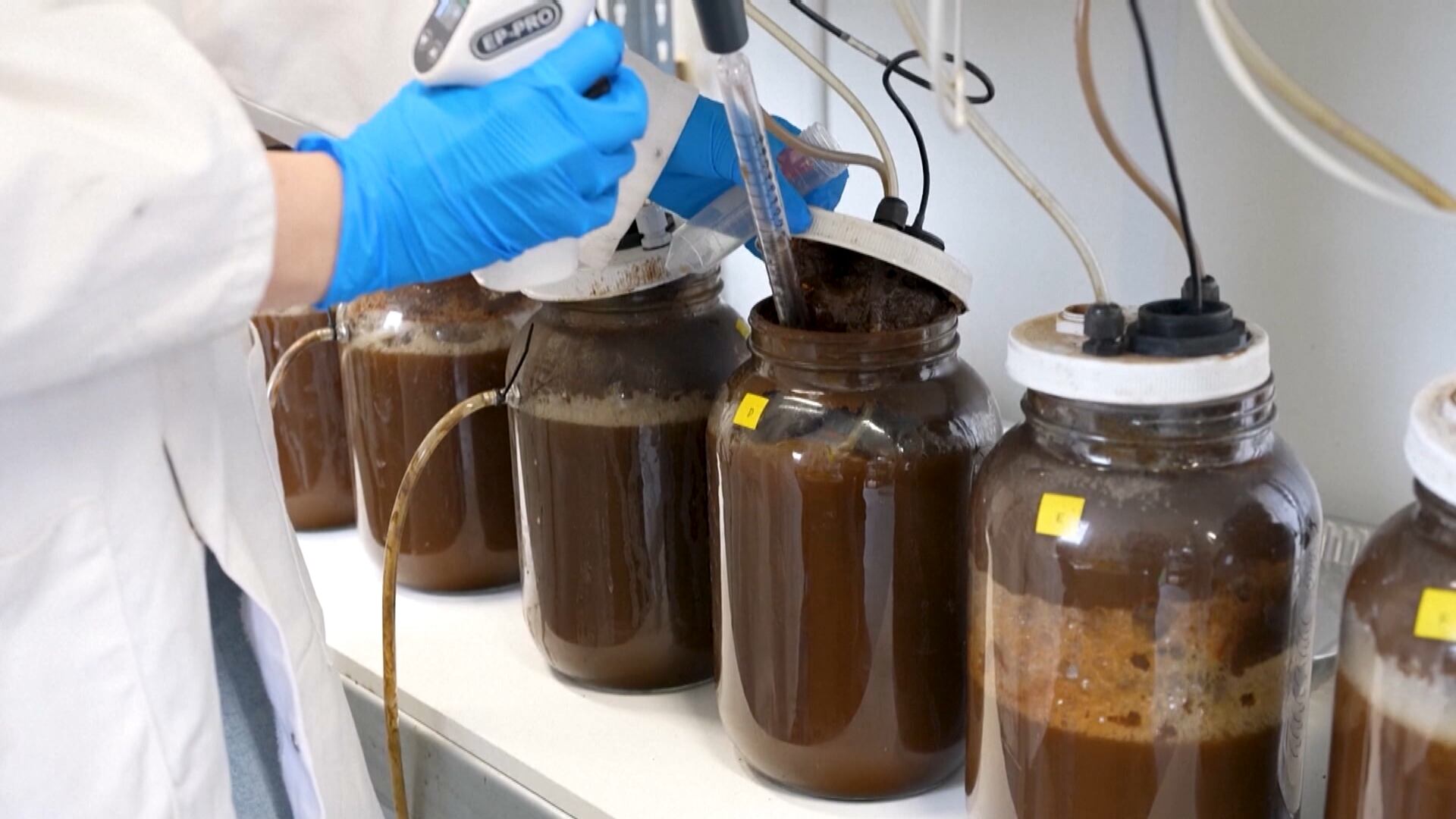 Projeto converte nutrientes da urina em substâncias que podem ser absorvidas pelas plantas