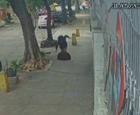 Mulher é 'engolida' por bueiro aberto por ladrões no Rio