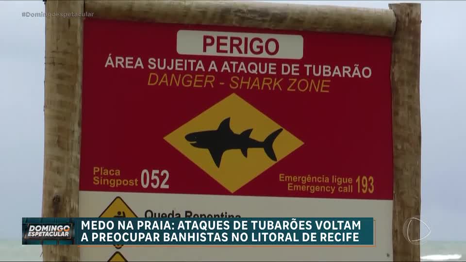 Ataques de tubarão deixam duas vítimas e colocam Recife (PE) em alerta