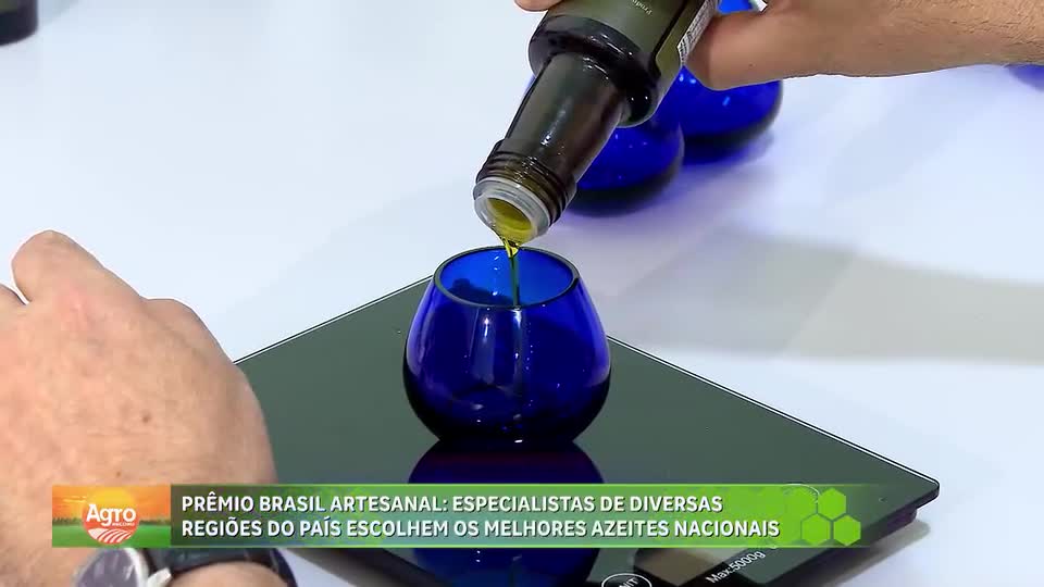 Especialistas de diversas regiões do país escolhem melhores azeites nacionais