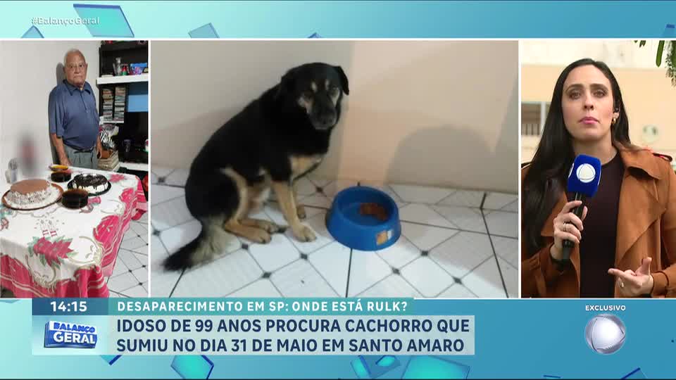 Idoso de 99 anos procura cachorro desaparecido na zona sul de São Paulo