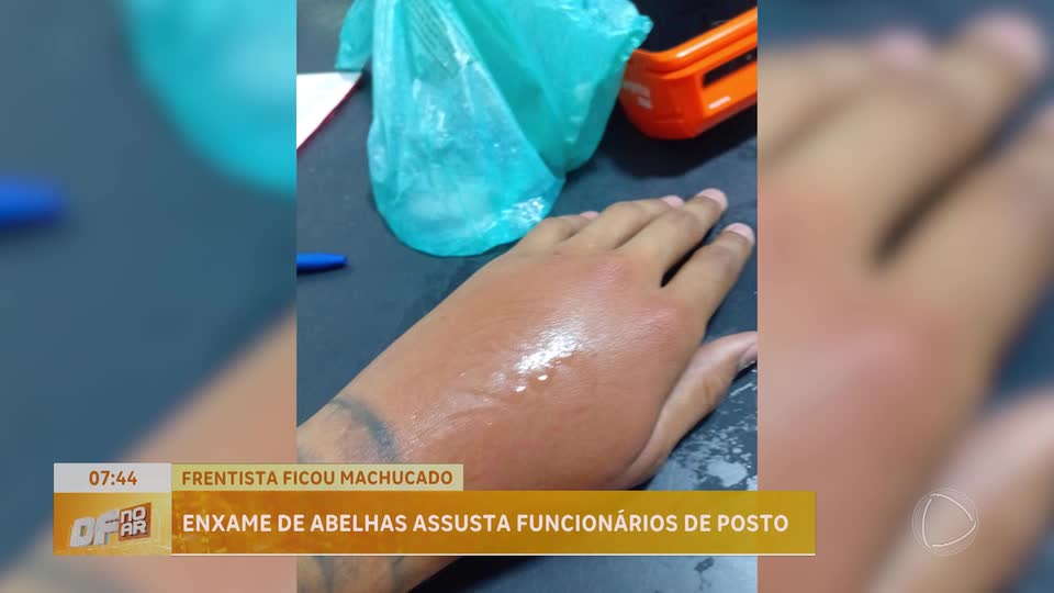 Funcionários são atacados por enxame de abelhas Riacho Fundo 2 (DF)
