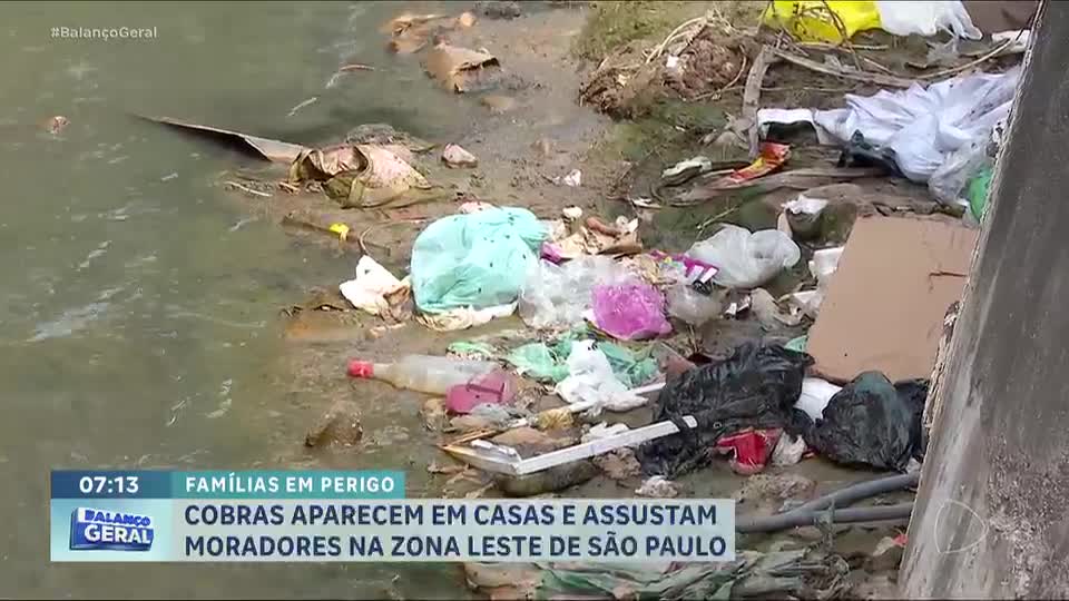 Infestação de cobras assusta moradores na zona leste de São Paulo